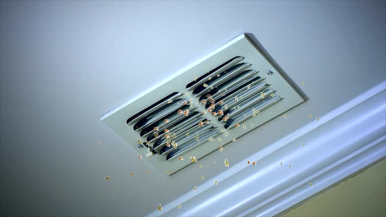 Professional Airduct Cleaning in Dodson Branch, TN