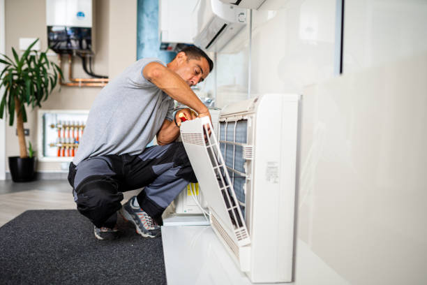 Best Air Duct Sanitizing Services  in Dodson Branch, TN