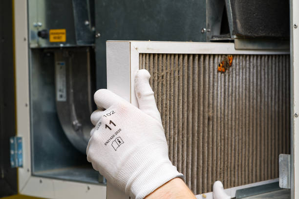 Best Professional Duct Cleaning Services  in Dodson Branch, TN