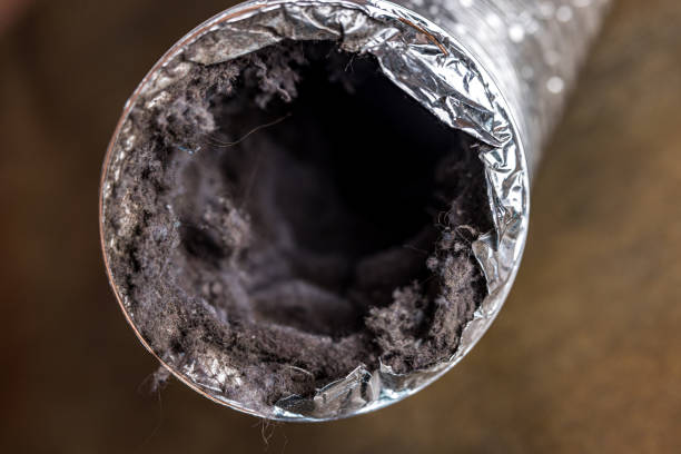Best Emergency Air Duct Cleaning  in Dodson Branch, TN