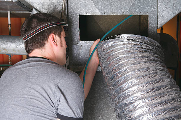 Air Duct Mold Removal in Dodson Branch, TN
