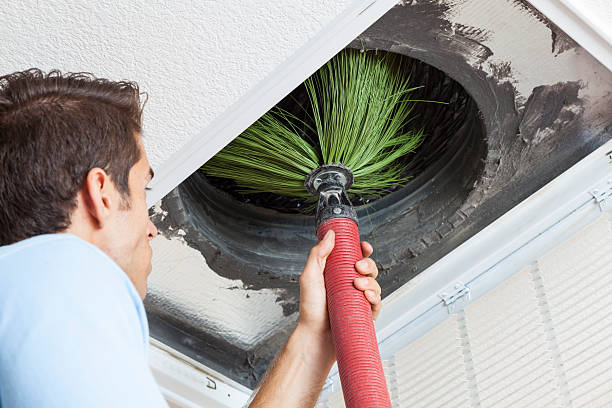 Best Air Duct Cleaning Near Me  in Dodson Branch, TN